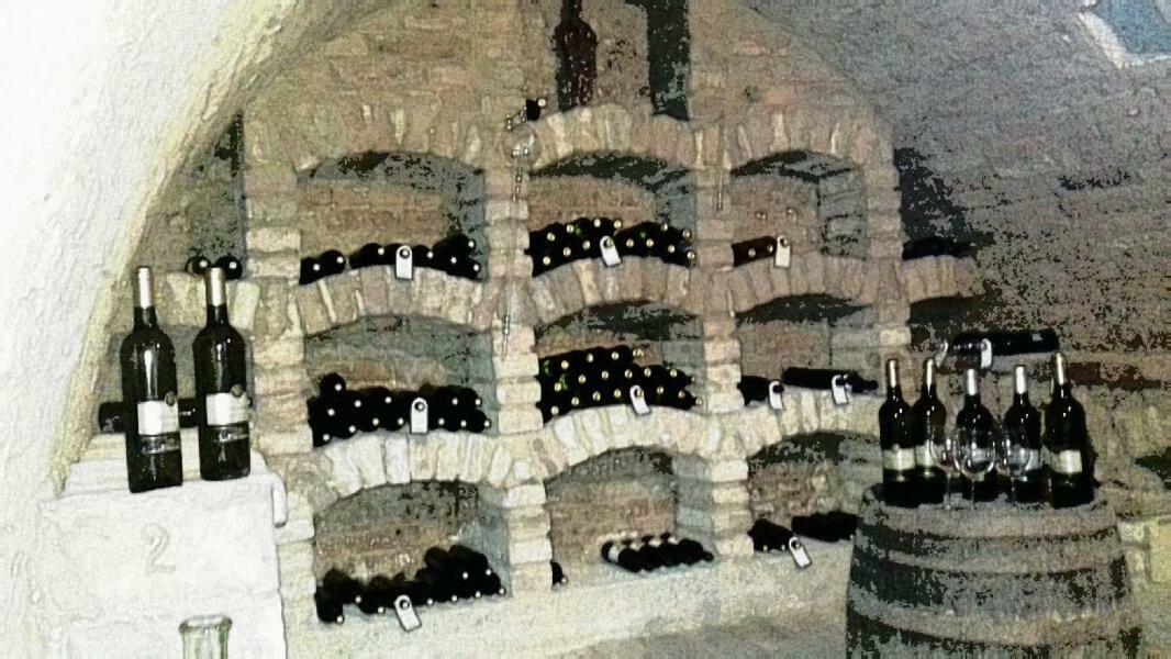 Ubytovani U Malinkovicu Břeclav المظهر الخارجي الصورة